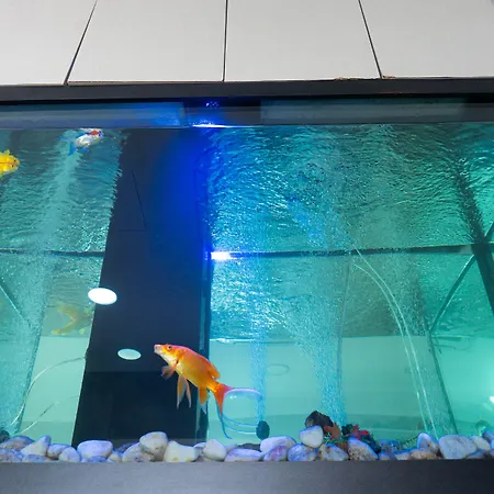 Residencial Do Areeiro 리스본