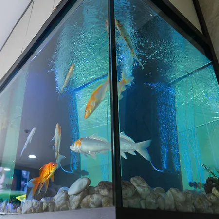 게스트하우스 Residencial Do Areeiro 2*